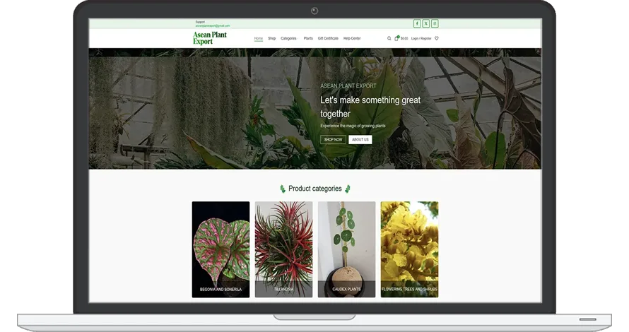 Image du site Asean Plant Export