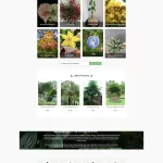 Asean Plant export